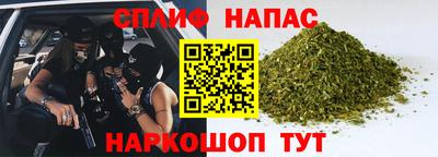 PSILOCYBIN Нальчик