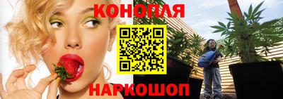 PSILOCYBIN Нальчик
